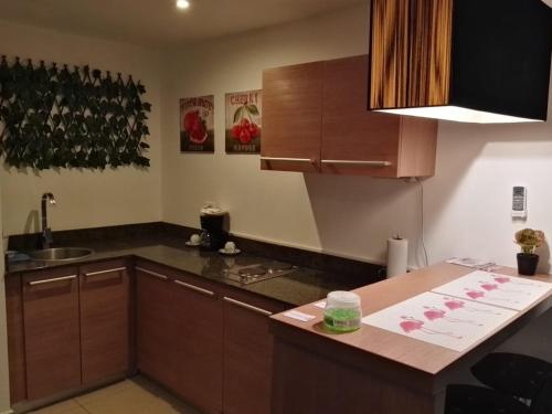 a kitchen with wooden cabinets and a counter top at Playa Blanca Panama in Río Hato