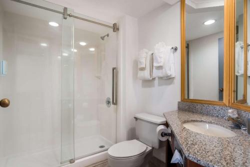 a bathroom with a shower and a toilet and a sink at Clarion Inn and Suites Airport in Grand Rapids