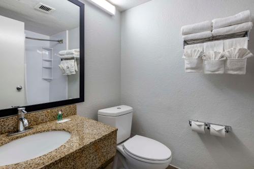 a bathroom with a toilet and a sink and a mirror at Suburban Studios in Rock Hill