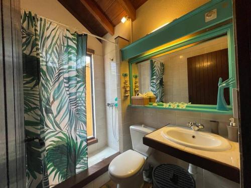 a bathroom with a sink and a toilet and a shower at La Villa de Petite Anse - Piscine in Les Anses-dʼArlets