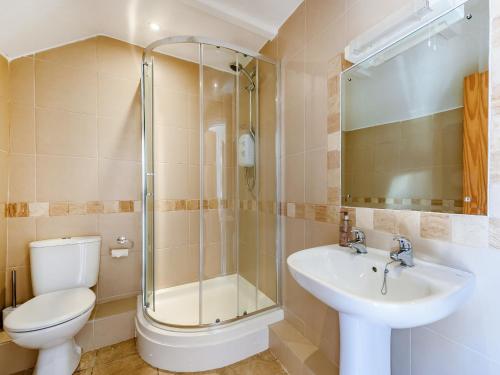 a bathroom with a shower and a toilet and a sink at Studio Cottage in Treffynnon 