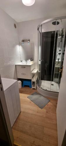 une salle de bain avec douche et lavabo dans l'établissement Appartement Grand Paris, à Saint-Denis