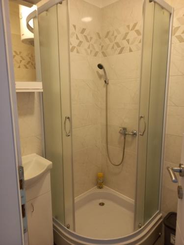baño con ducha y puerta de cristal en Silver Lake Apartments, en Veliko Gradiste