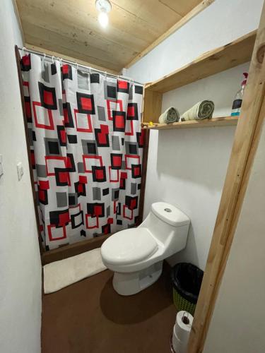 a bathroom with a toilet and a shower curtain at Poas Volcano Rooms in Fraijanes