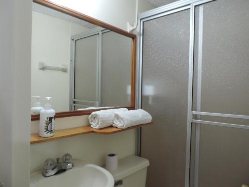 Un baño con ducha, lavabo y espejo. en LO MEJOR DE BOGOTAa, en Bogotá