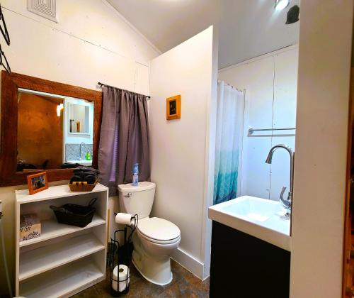 a bathroom with a toilet and a sink at Woodcrest Bed and Breakfast in Clearwater