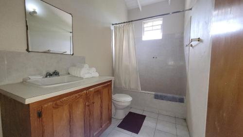 a bathroom with a sink and a toilet and a shower at Casa Villa Apartments in Calliaqua