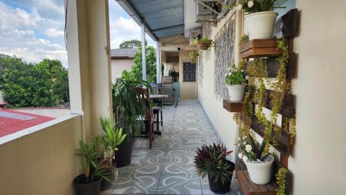 a balcony with potted plants on the side of a building at Casa Altamira in San Pedro Sula