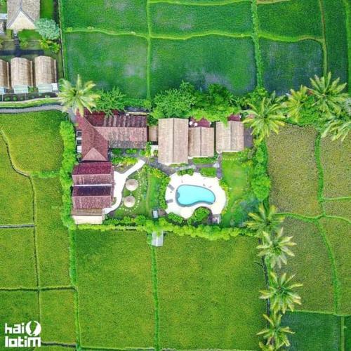 Tetebatu Flush Harmonyの敷地内または近くにあるプール