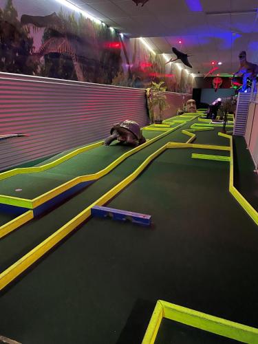 a bowling alley with a turtle laying on the floor at Forster Palms Motel in Forster