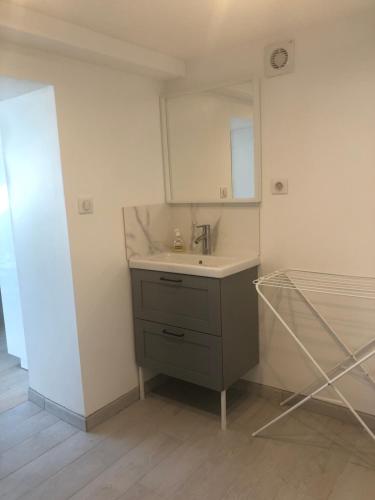 La petite salle de bains est pourvue d'un lavabo et d'un miroir. dans l'établissement Appartement paisible proche centre ville, à Bron