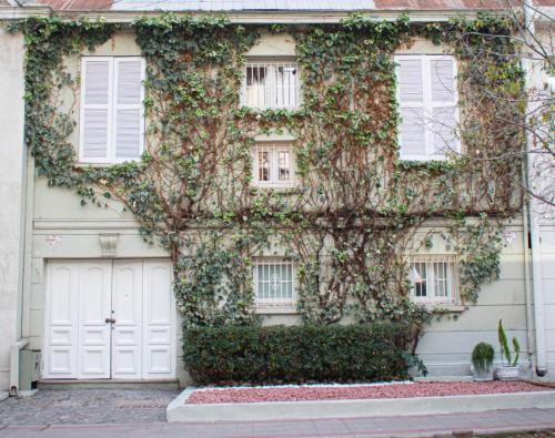 聖地亞哥的住宿－Casa Ribera Hotel Providencia，常春藤覆盖的房子,设有白色的门窗