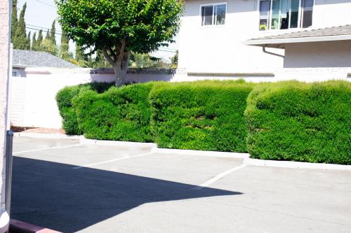 a hedge in front of a building with a tree at Discovery Inn in Hayward