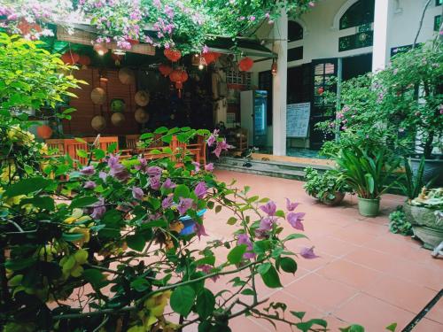Zahrada ubytování Phi Hung's Unique Homestay