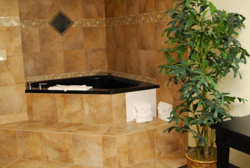 a tiled bathroom with a towel shelf and a plant at Ramada by Wyndham Bettendorf in Bettendorf