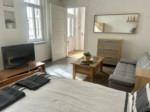 ブダペストにあるModern spacious flat in Budaのベッドルーム(ベッド1台、テレビ、ソファ付)
