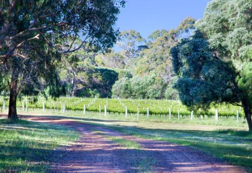 a dirt road with trees on the side of a field at Tintagel Estate I Private Properties in Forest Grove