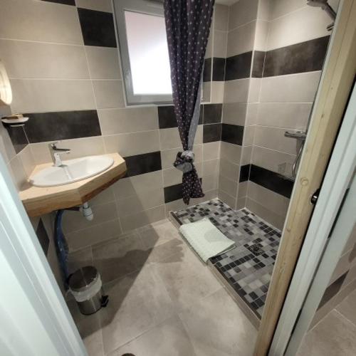 une petite salle de bain avec un lavabo et une douche dans l'établissement Ferme de la Combe, à Saint-Jeure-dʼAy