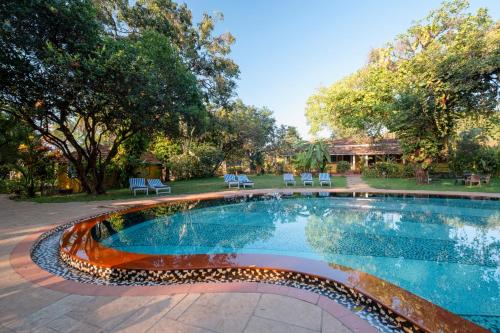 a swimming pool in a yard with chairs and trees at Granpa's Inn Hotel Bougainvillea in Anjuna
