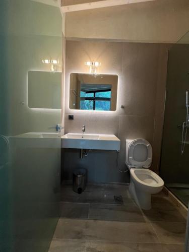 a bathroom with a toilet and a sink and a mirror at Stablus house in Alykes Potamou
