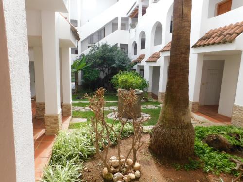 Patio 1