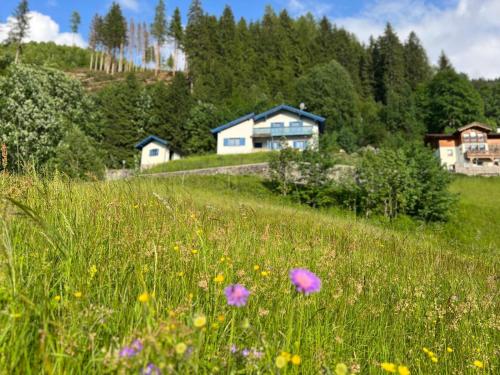 ein Grasfeld mit Blumen vor einem Haus in der Unterkunft Charming chalet with sauna + views! in Bad Gastein