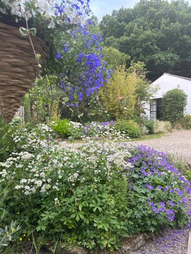 a garden with purple and white flowers in a yard at Hadrian's Barn in Heddon on the Wall