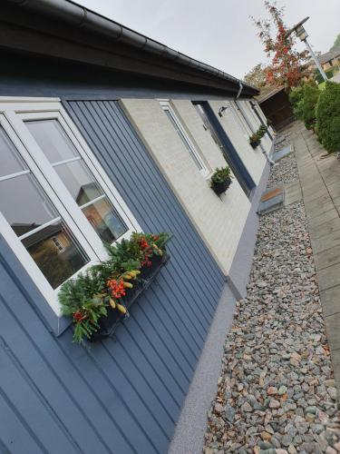 una casa azul con cajas de flores a un lado. en Apartamenty Nexo en Neksø
