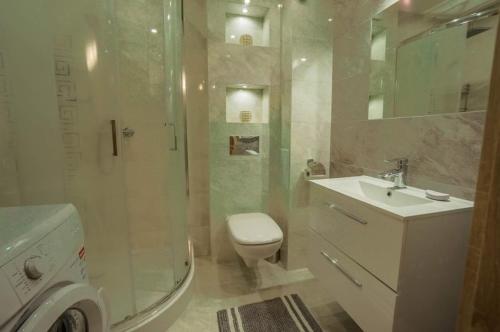 La salle de bains est pourvue de toilettes, d'une douche et d'un lavabo. dans l'établissement Przytulne mieszkanko, à Białystok