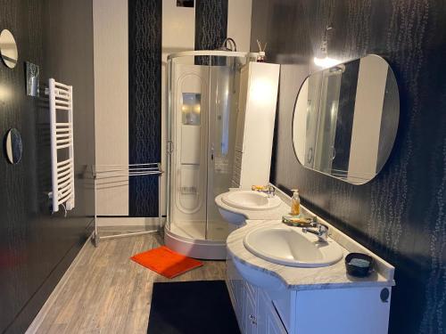 a bathroom with a toilet and a sink and a shower at CHAMBRE D HOTES CHEZ DANY MAOWMAOW ET GARFIELD in Bellevue-la-Montagne