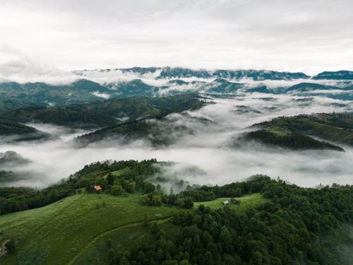 an aerial view of a green valley with clouds and trees at StockEstate Moieciu in Moieciu de Jos