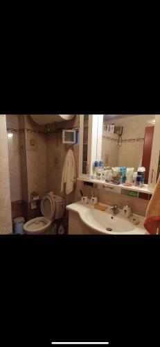 a bathroom with a sink and a toilet and a mirror at SEA HOUSE KOUKOULEIKA in Milina
