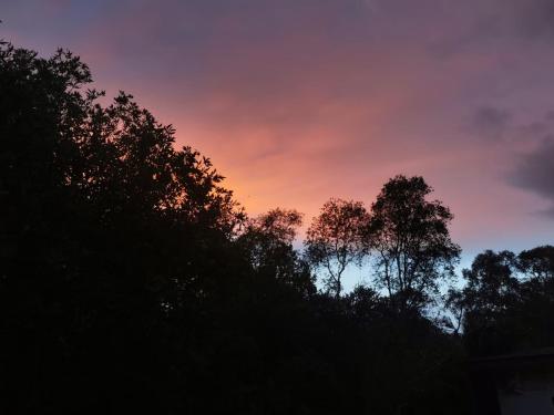 a colorful sky with trees in the foreground at แกรนด์ ฟอเรสท์ Grand Forest in Chanthaburi