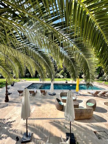 a pool with a palm tree and chairs and umbrellas at Villa Pauline in Avignon