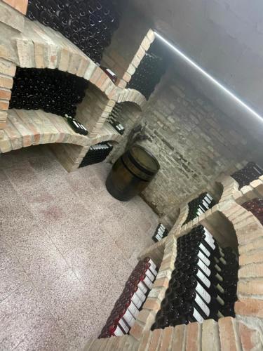 a wine cellar with a bunch of wine bottles at Rodinný penzion Kohoutek in Hovorany