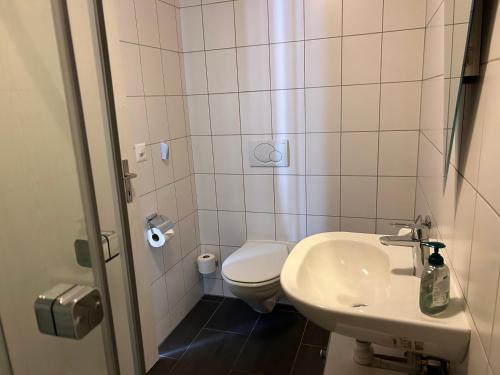 a small bathroom with a toilet and a sink at Studio Inferno Lauterbrunnen in Lauterbrunnen