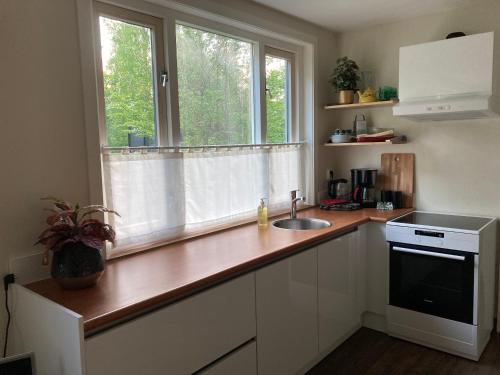 a kitchen with a counter with a sink and a window at Härlig Heden Vakantie Appartement in Råda