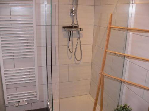 eine Dusche mit einem Schlauch im Bad in der Unterkunft Stilvolle Ferienwohnungen im Zentrum von Schwerin in Schwerin