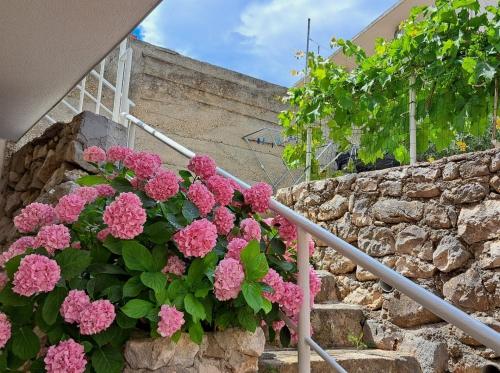 Gallery image of Apartmani Rudelj in Igrane