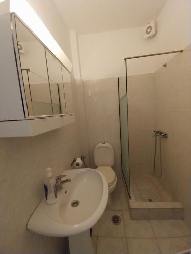 a bathroom with a sink and a shower and a toilet at Goldfish Elegant Apartments in Orfánion