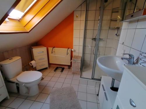 een badkamer met een toilet, een wastafel en een douche bij Wohnung für 2 Personen in Villingen-Schwenningen