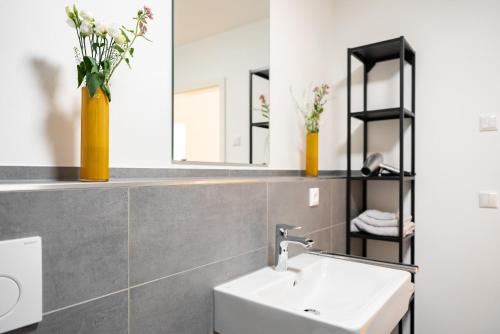 Un baño de Mit c