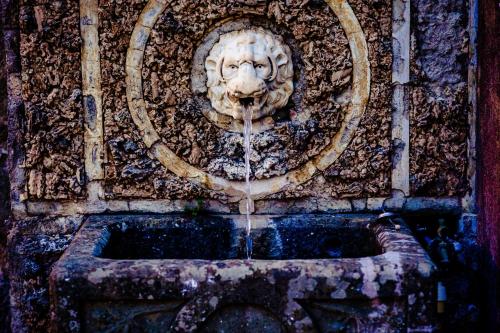 a fountain with a lion head on a stone wall at Castello Brancaccio in San Gregorio da Sassola