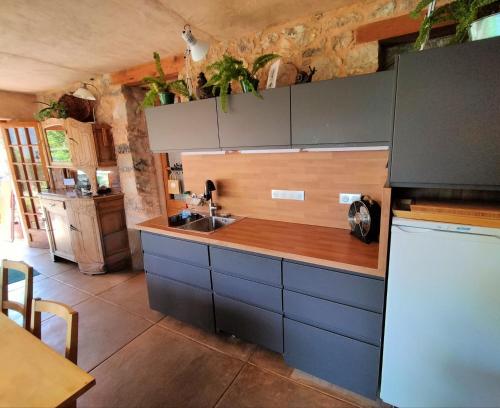 a kitchen with blue cabinets and a sink at Un cadre magnifique, au cœur du Verdon in Castellane