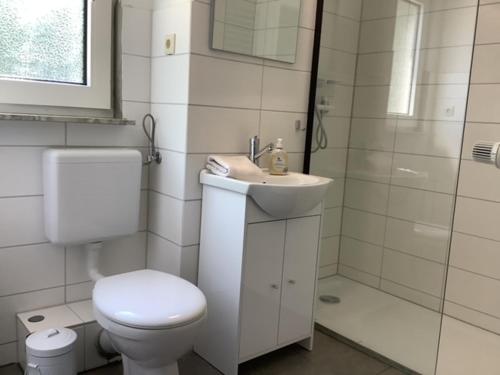 La salle de bains est pourvue de toilettes, d'un lavabo et d'une douche. dans l'établissement Blockhäuser Fewo4 Harzblick, à Braunlage