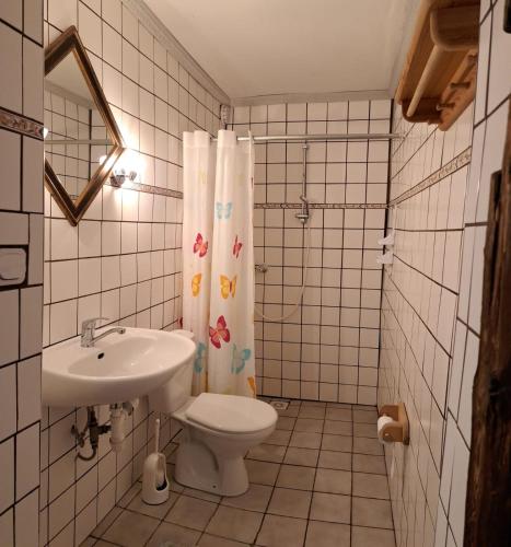 a bathroom with a sink and a toilet and a shower at Śródziemie Gondor in Leśno
