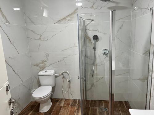 a bathroom with a toilet and a glass shower at Nazarena Studio Apartment in Nazareth