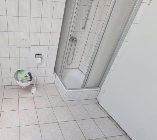 a bathroom with a shower and a toilet at Ferienwohnung in Nordhausen