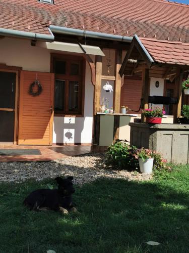Domácí mazlíčci ubytovaní s hosty v ubytování Aromaporta