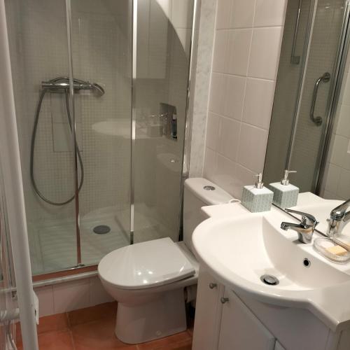 a bathroom with a shower and a toilet and a sink at Joli deux pièces vieux village de Roquebrune-Cap-Martin in Roquebrune-Cap-Martin